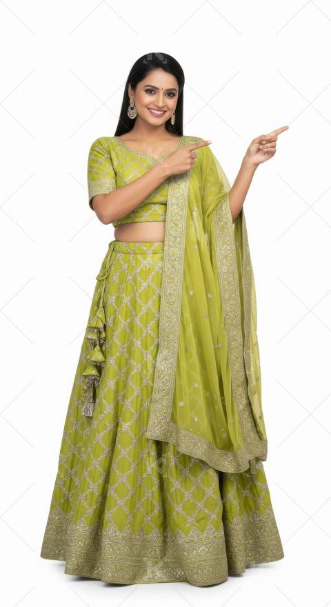 Young indian woman is traditional attire featuring intricate emb