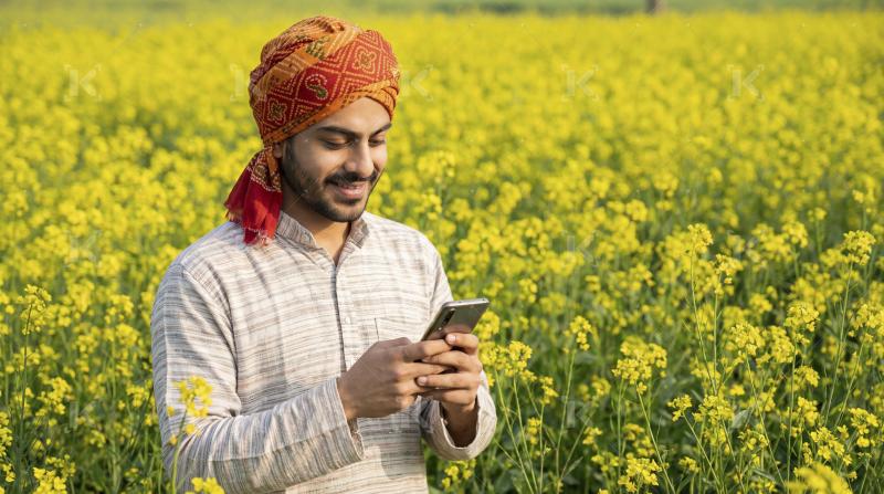 Happy Indian Farmer Texting in Vibrant Yellow Mustard Field